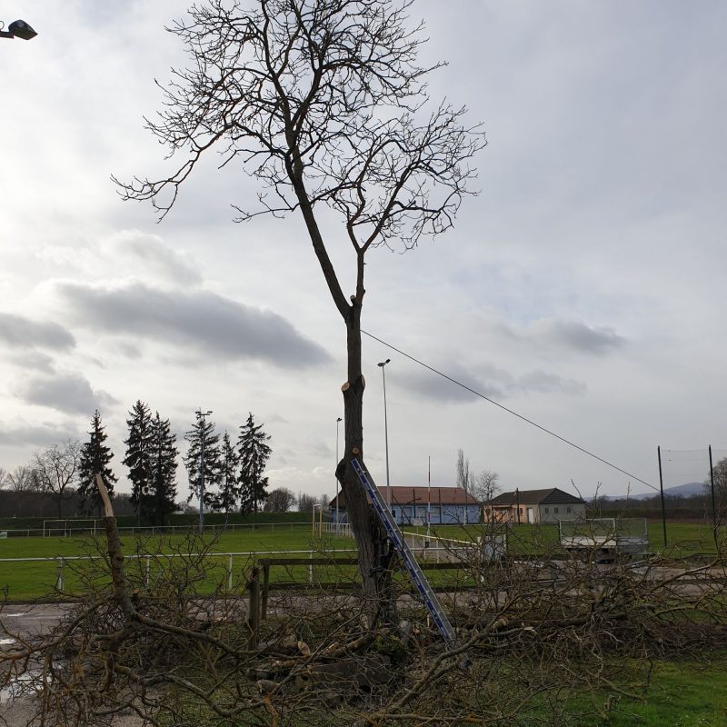 Entretien Illzach 4