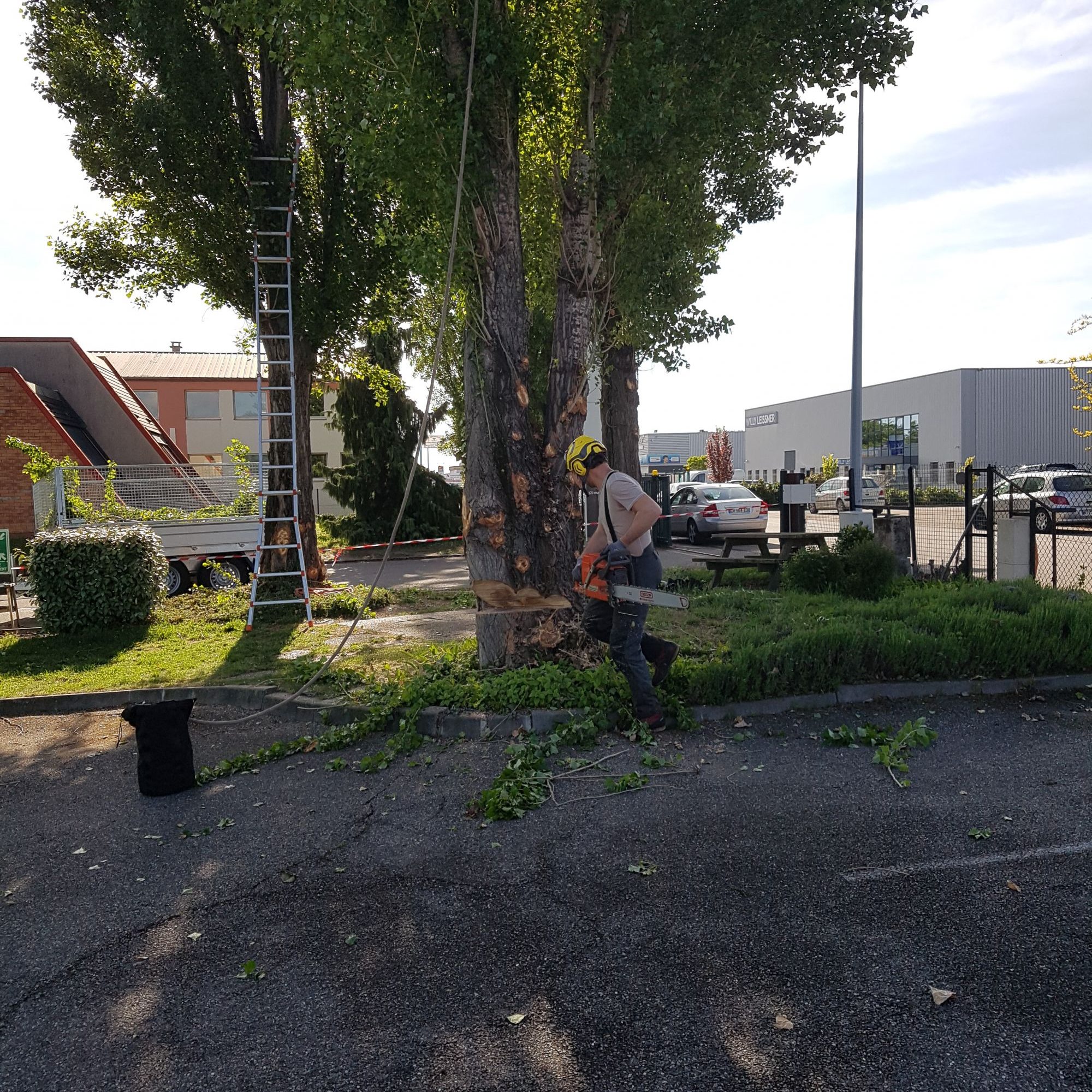 Entretien Wittenheim
