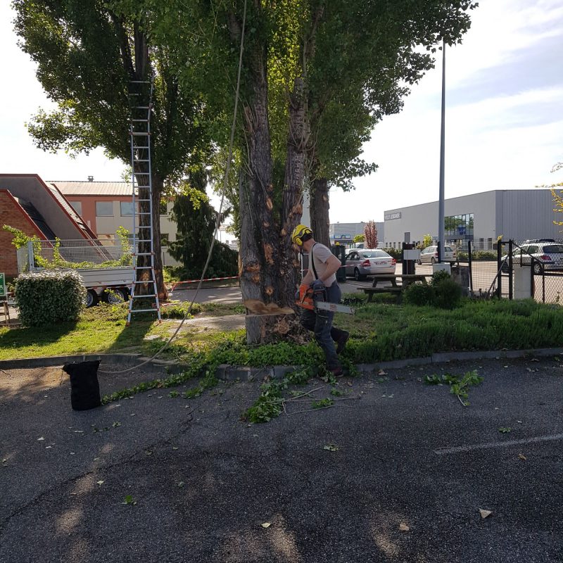 Entretien Wittelsheim 5