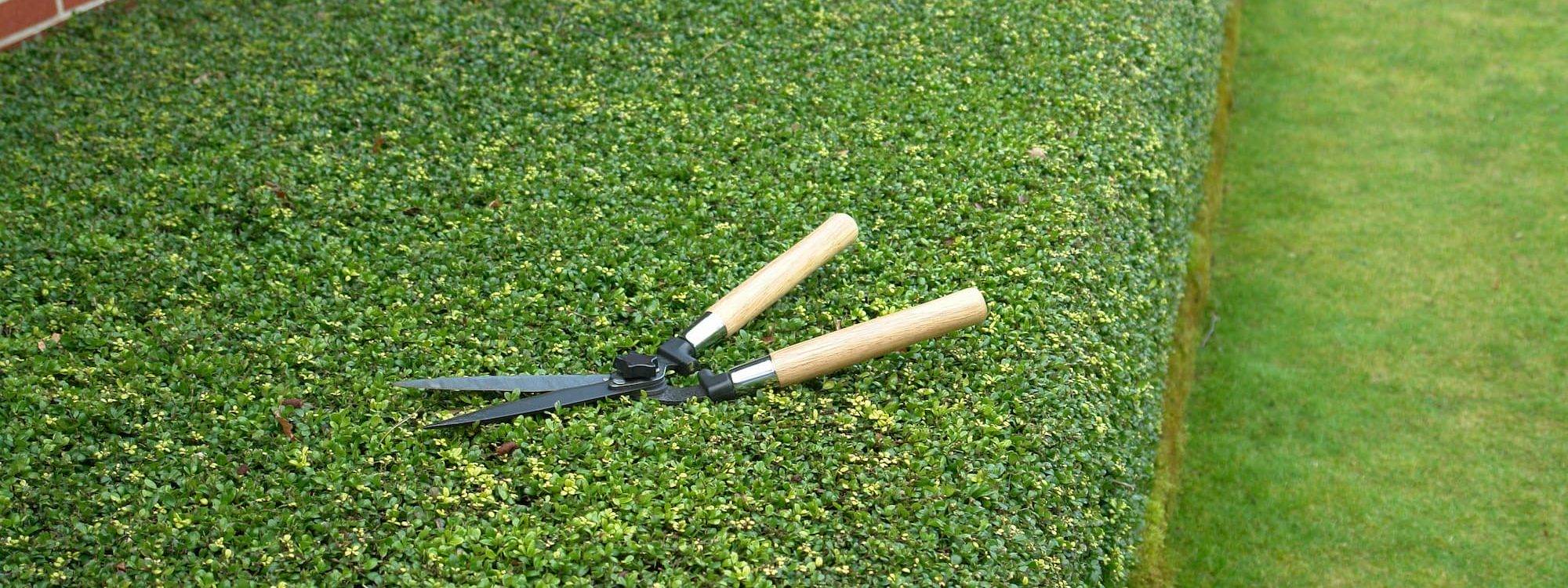 Entretien de jardin aux alentours de Colmar et Horbourg-Wihr Rixheim