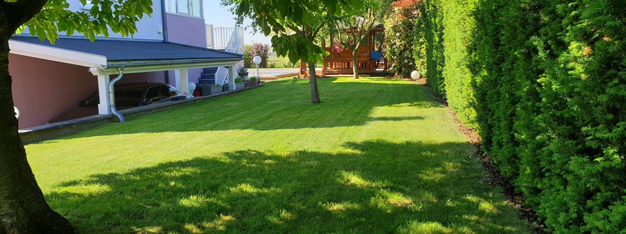 Qu’est-ce qu’un contrat d’entretien de jardin et quels sont ses avantages ? Colmar